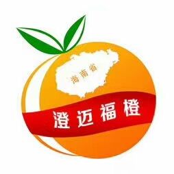海南澄迈富硒福橙 橙子新鲜 海南本地特产10斤礼盒装当季水果国宴特供果品